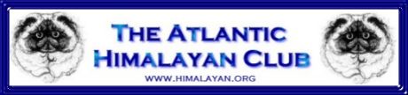 ahclink.jpg (12524 bytes)